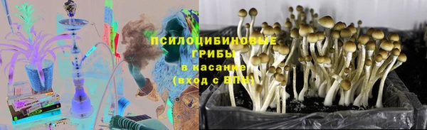 не бодяженный Елабуга