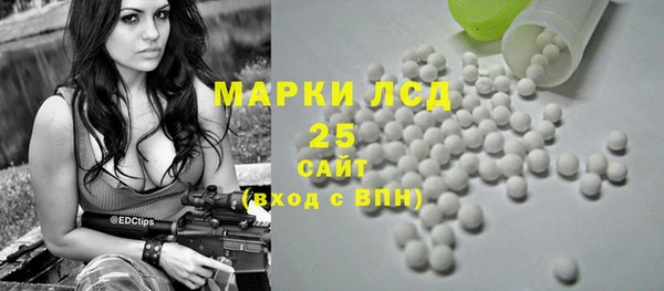 трава Ельня