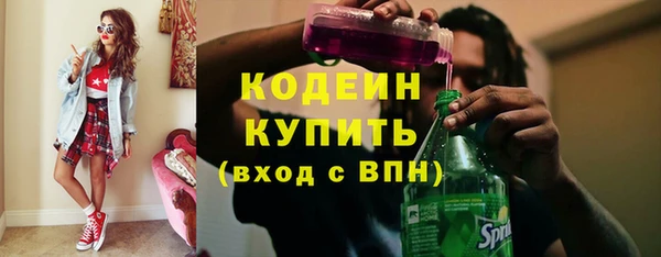 трава Ельня