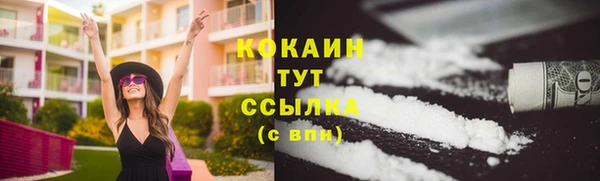 трава Ельня