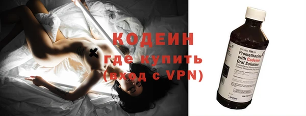 трава Ельня