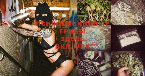 трава Ельня