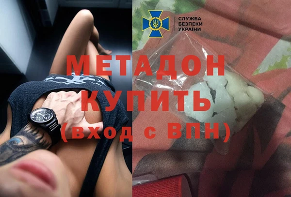 трава Ельня