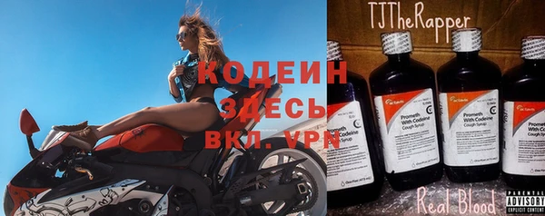 трава Ельня