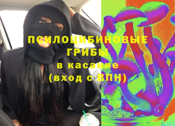 трава Ельня