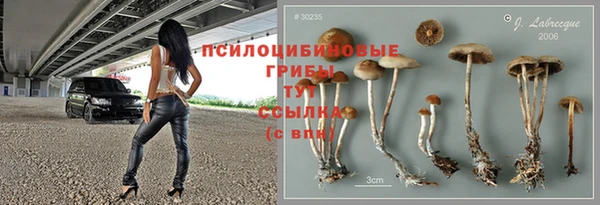 не бодяженный Елабуга